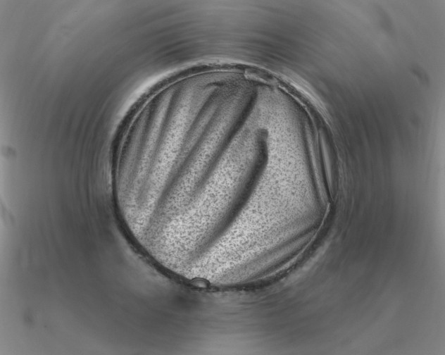 X0000090630934200708071243