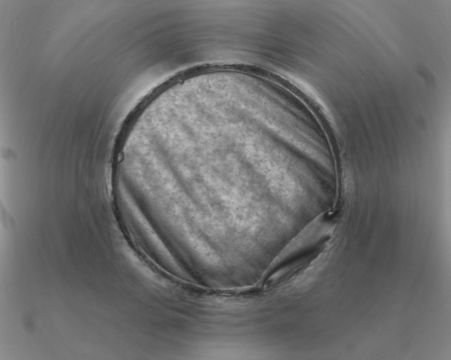 X0000090630935200708071243