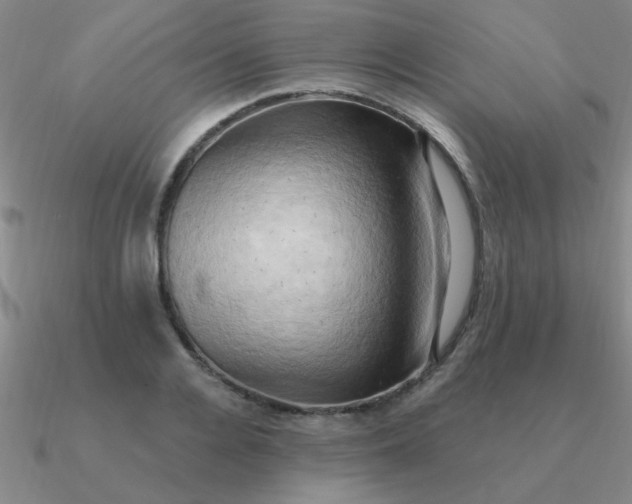 X0000090630936200708071243