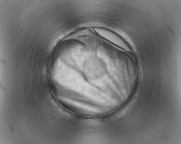 X0000090630937200708071243