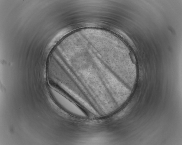 X0000090630938200708071243