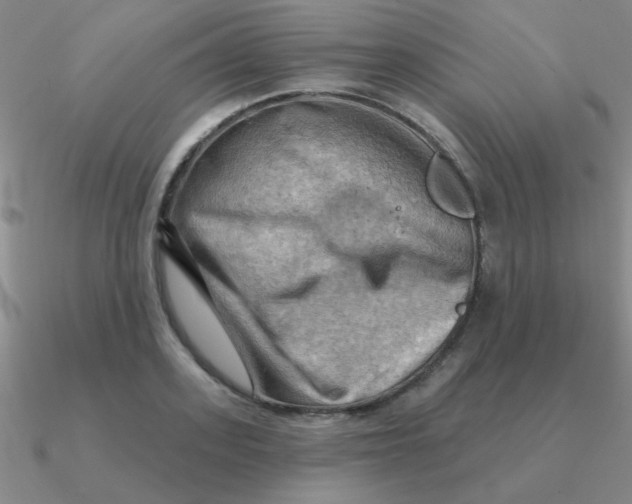 X0000090630939200708071243