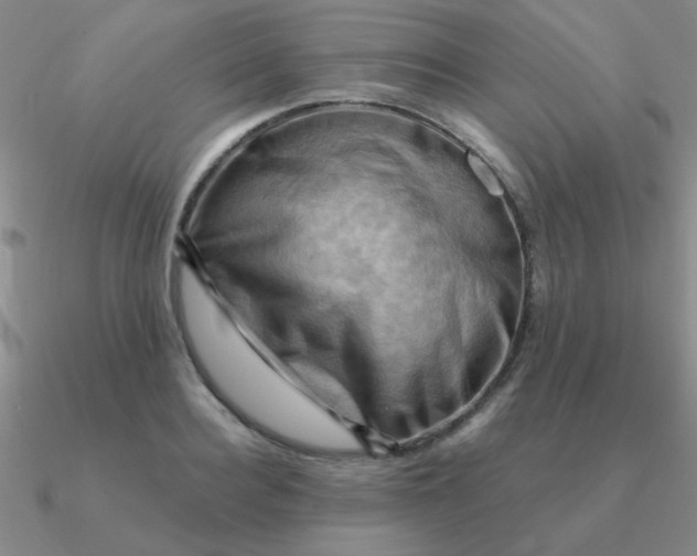 X0000090630940200708071243