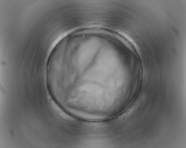 X0000090630941200708071243