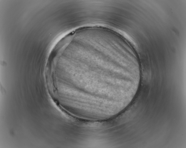 X0000090630943200708071243