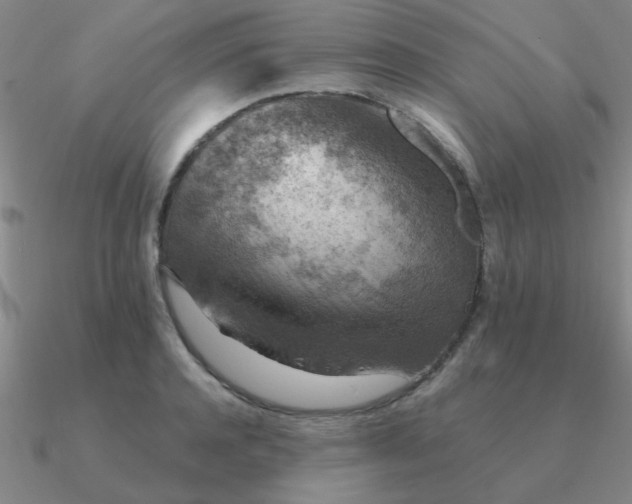 X0000090630944200708071243