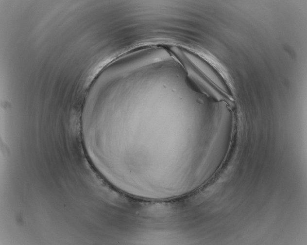 X0000090630945200708071243