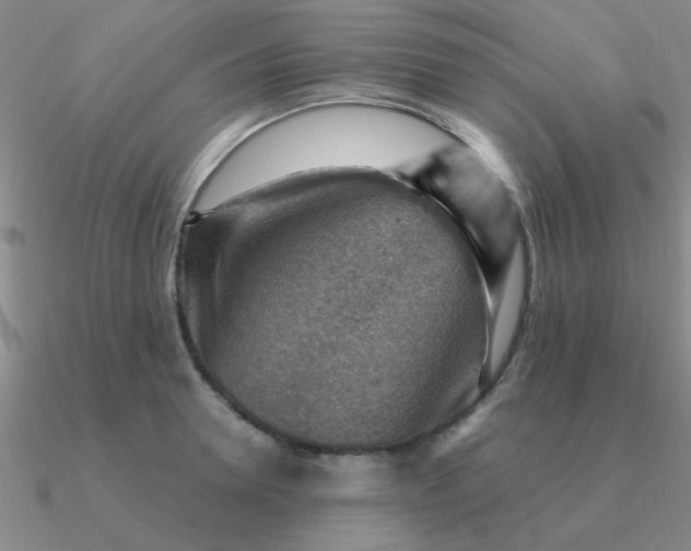 X0000090630946200708071243