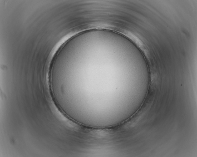 X0000090630947200708071243