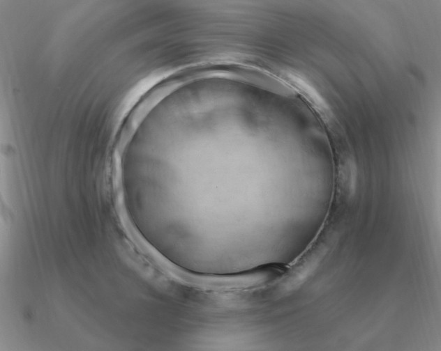 X0000090630948200708071243