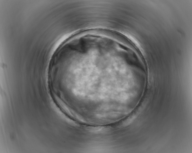 X0000090630949200708071243