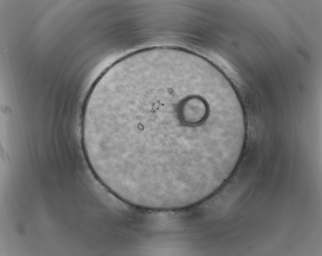 X0000090630950200708071243