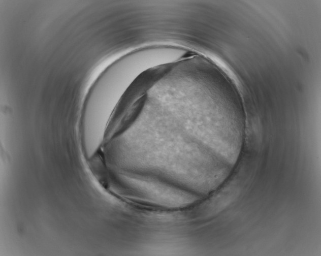 X0000090630951200708071243