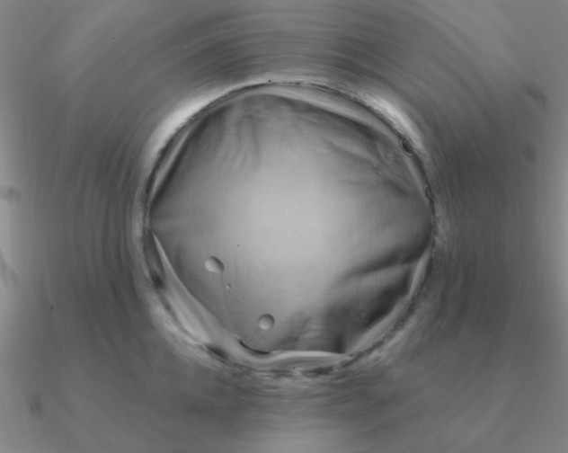 X0000090630952200708071243