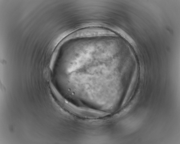 X0000090630953200708071243