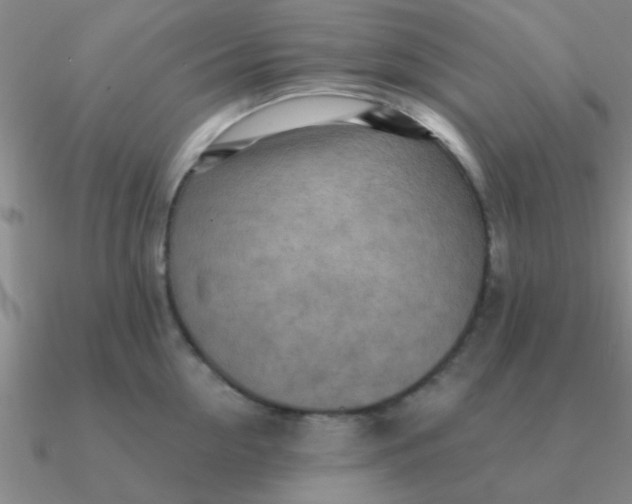 X0000090630954200708071243