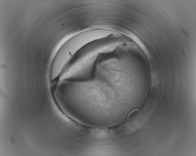 X0000090630955200708071243