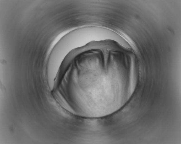 X0000090630956200708071243