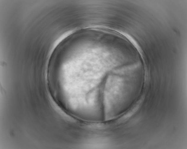 X0000090630957200708071243