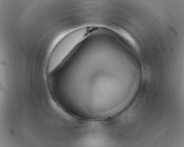 X0000090630958200708071243