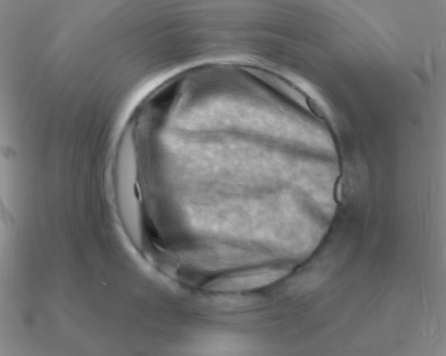 X0000090630959200708071243