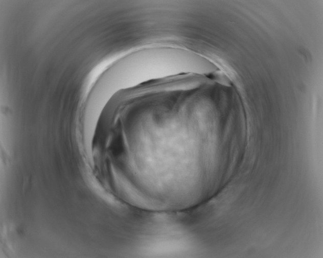 X0000090630960200708071243