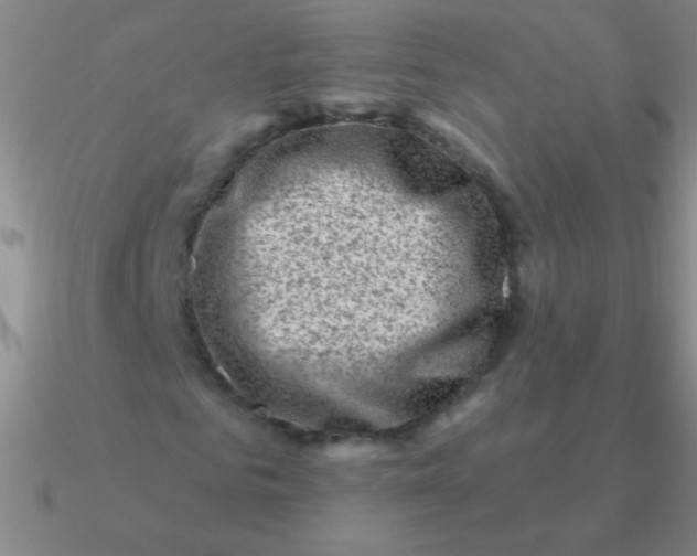 X0000090630961200708071242