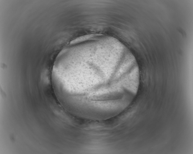 X0000090630962200708071242