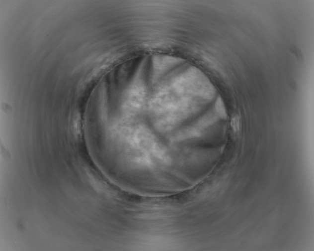 X0000090630963200708071242