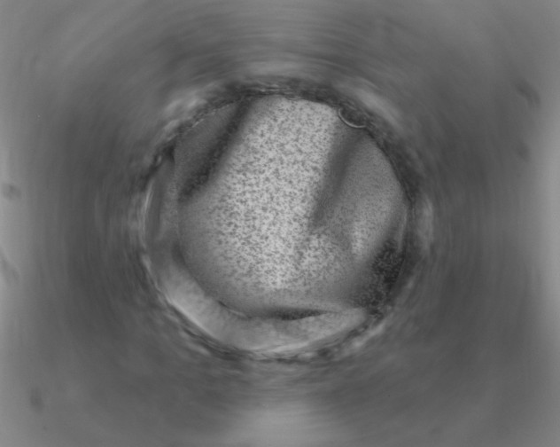 X0000090630965200708071242