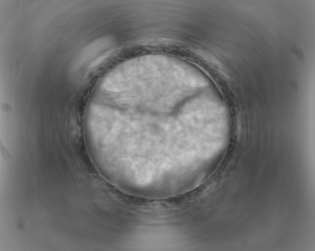 X0000090630966200708071242