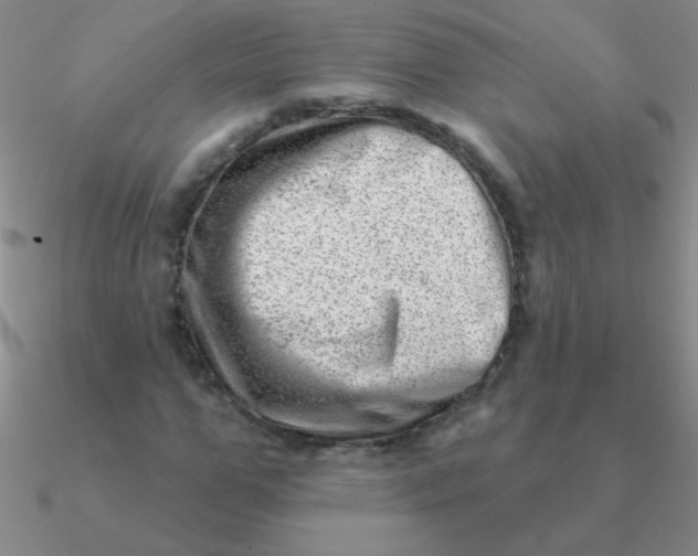 X0000090630967200708071242