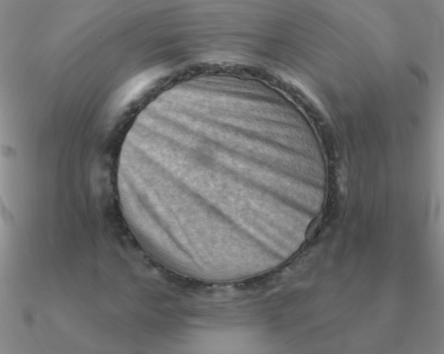 X0000090630968200708071242