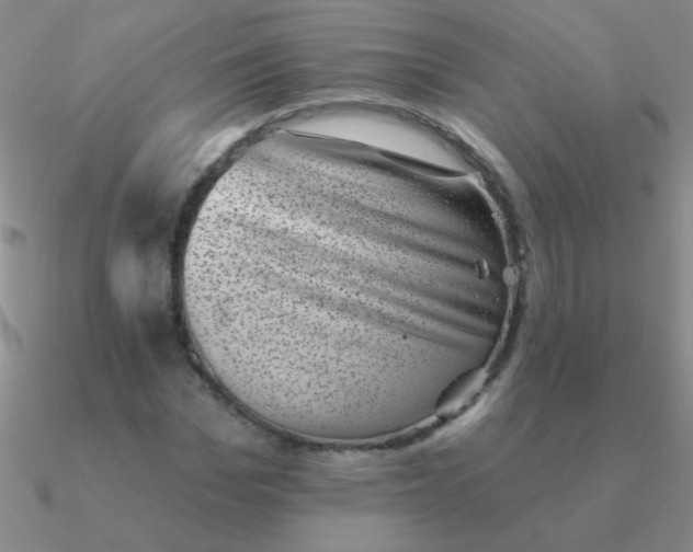 X0000090630969200708071242