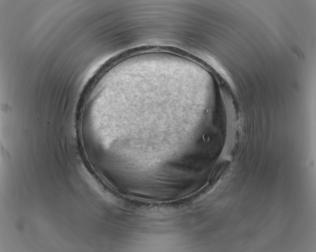 X0000090630972200708071242