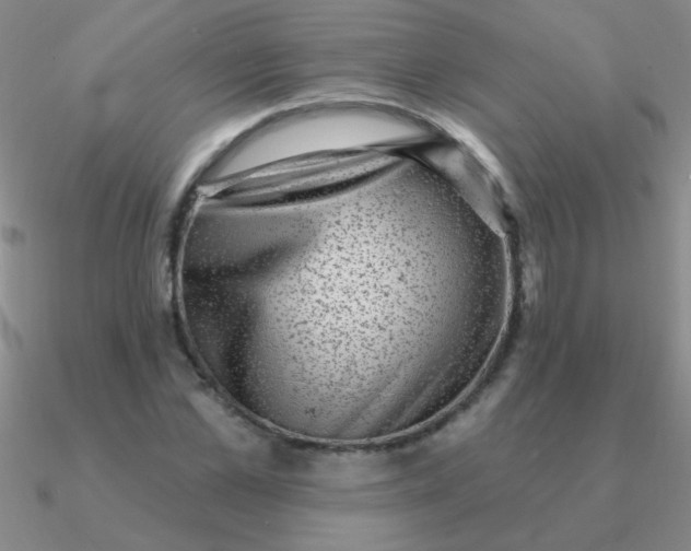 X0000090630973200708071242