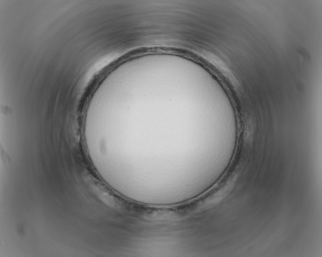 X0000090630974200708071242