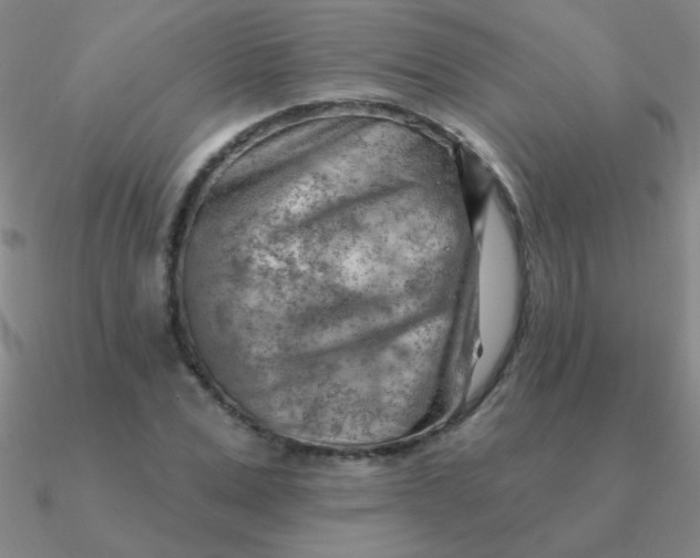 X0000090630975200708071242