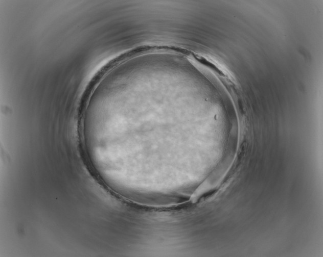 X0000090630976200708071242