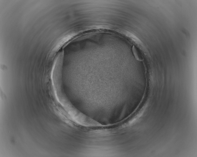 X0000090630977200708071242