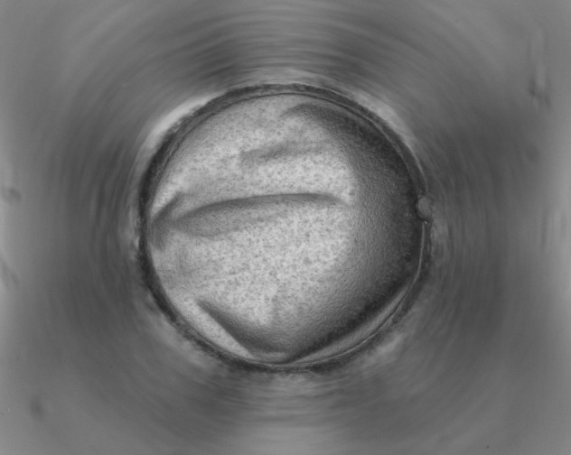 X0000090630979200708071242