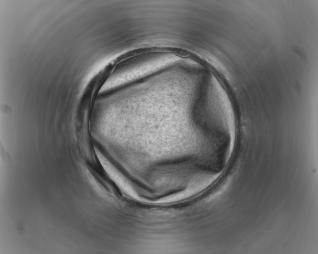 X0000090630981200708071242