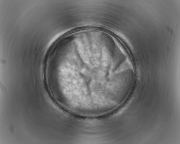 X0000090630983200708071242