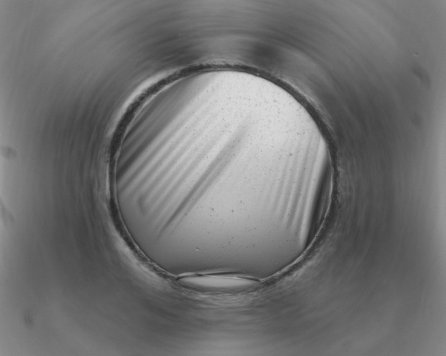 X0000090630984200708071242