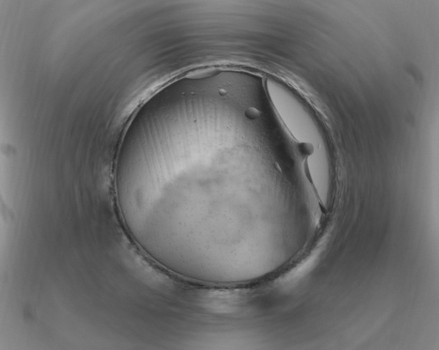 X0000090630985200708071242