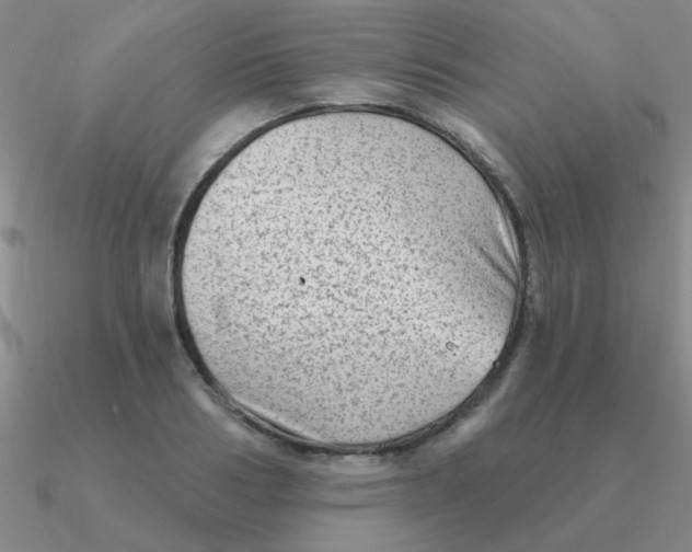 X0000090630986200708071242