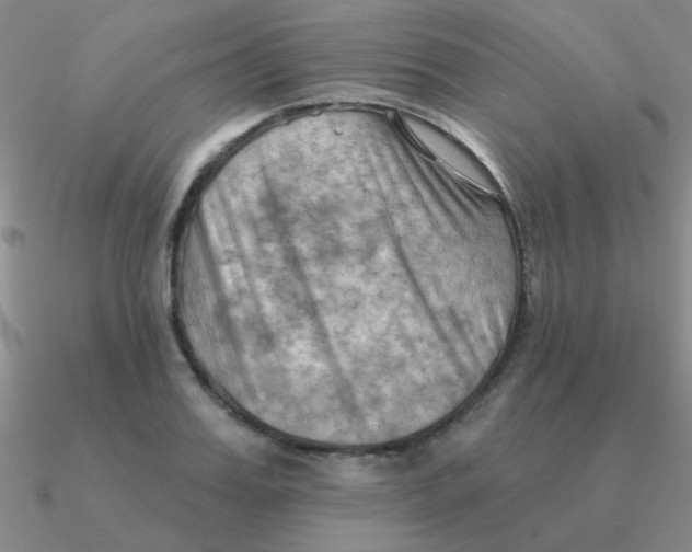 X0000090630987200708071242