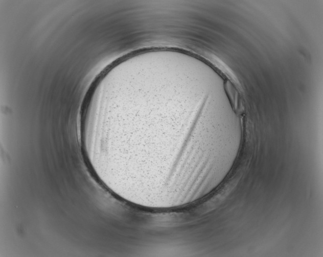 X0000090630988200708071242