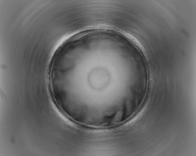 X0000090630989200708071242