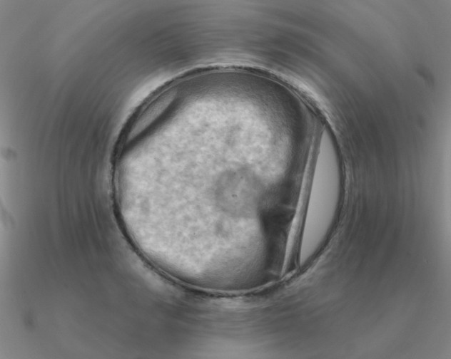 X0000090630990200708071242